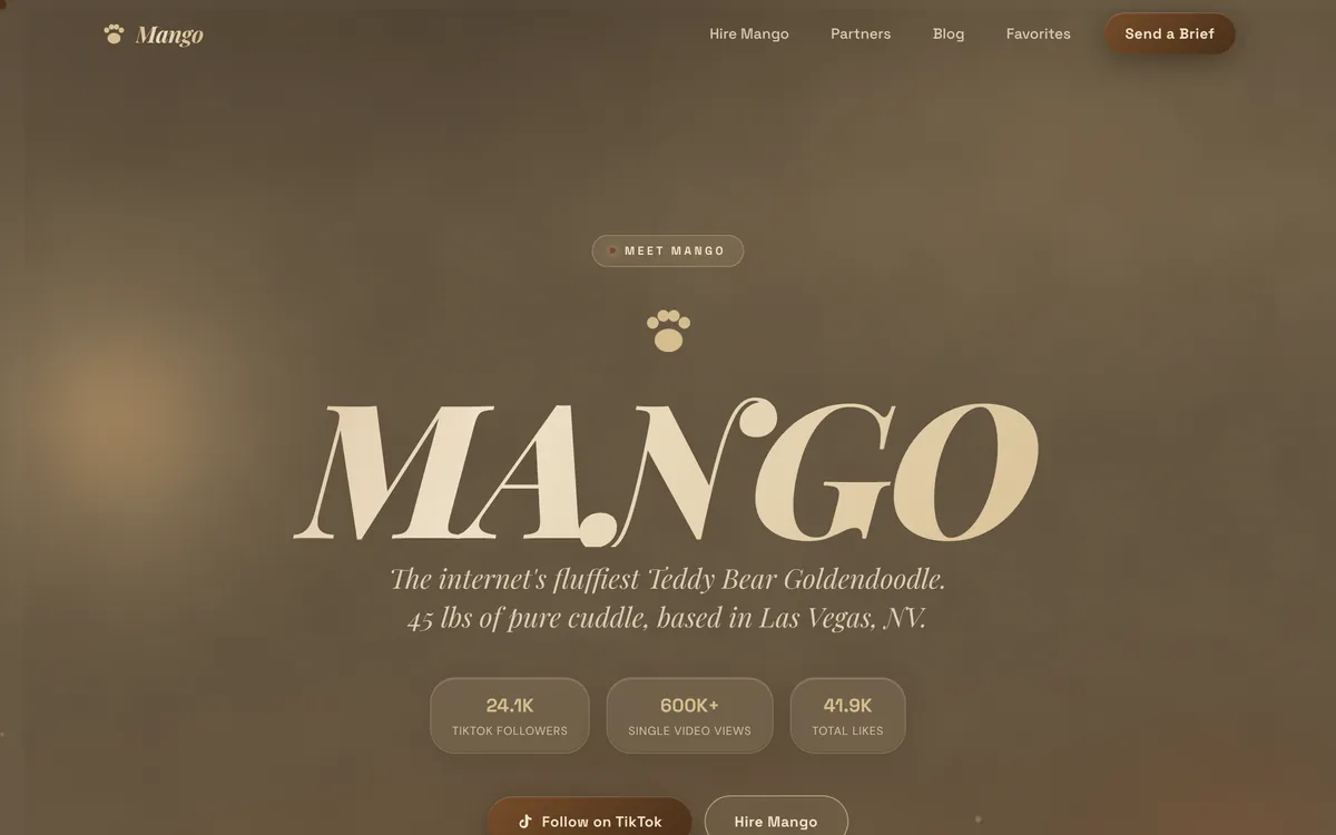 Homepage of ourmangodoodle.com, a creator brand website designed by Delvixo with a warm tone and oversized display type.