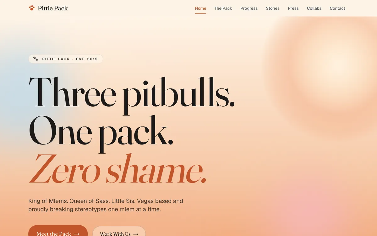 Homepage of pittiepack.com, a brand website designed by Delvixo with a warm gradient hero and bold serif headline.
